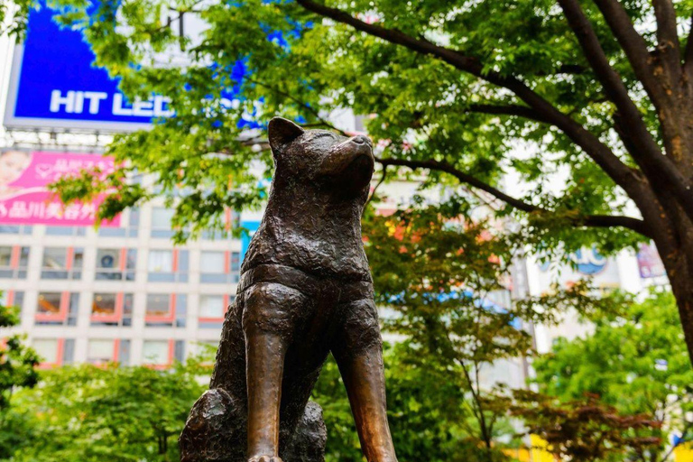Tokyo: Private Luxury Day Tour with Hotel Pickup and DropOff