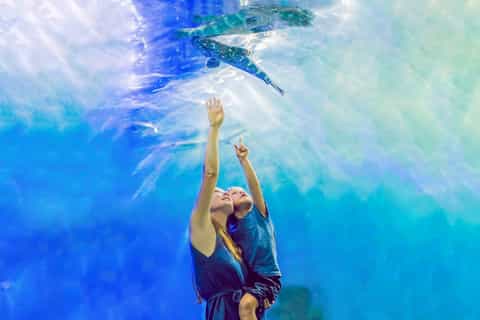 Dubai: Aquarium & Burj Khalifa Level 124 or 125 Combo Ticket