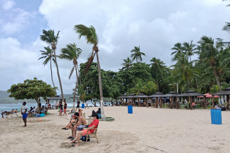 From Panama City: Caribbean Sightseeing Tour + Portobelo + Mangroves and Beaches