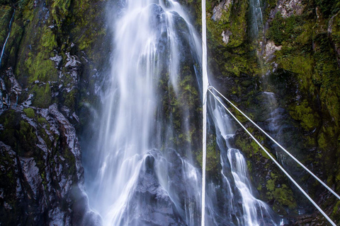 Queenstown: Milford Sound Cruise & Scenic Day Tour