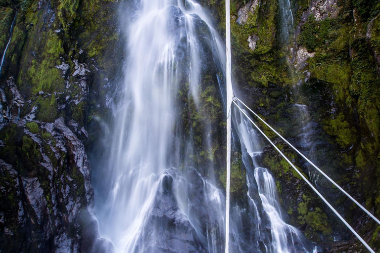 Queenstown: Milford Sound Cruise & Scenic Day Tour