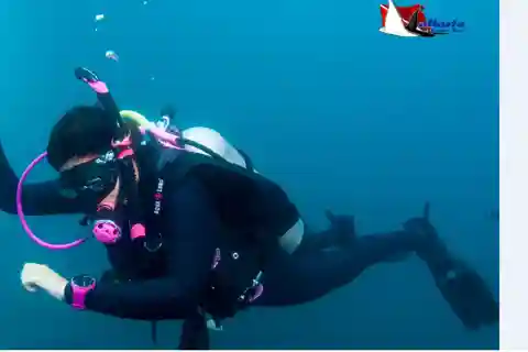 Punta Mita : Aventure de plongée sous-marine dans les Islas Marietas