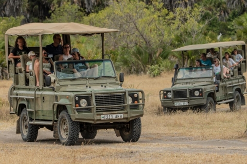 3 Day Honeymoon Safari Zanzibar to Nyerere NP By Flight