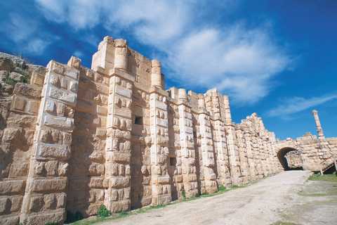 Escursione a Jerash e al Castello di AjlounEscursione di un giorno a Jerash e al Castello di Ajloun