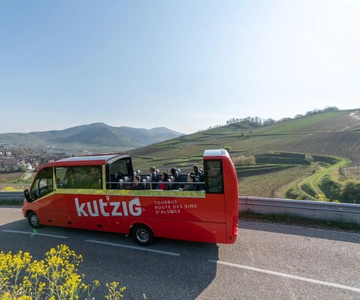 Alsace Wine Route: multi-stop convertible bus tour