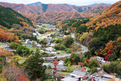 KYOTO NARA AND OSAKA RIGION: TOUR