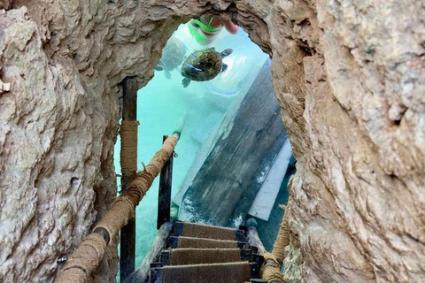 Jozani-skogen, havssköldpaddor, Blå lagunen, sjöstjärnor och The Rock