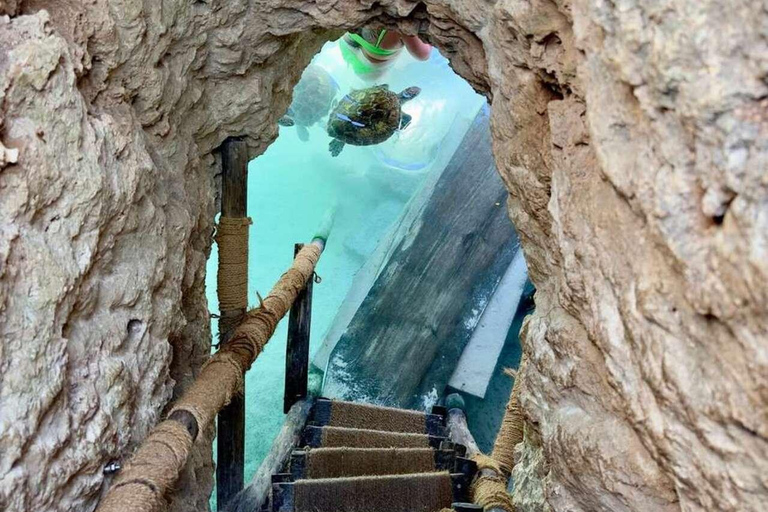 Jozani-skogen, havssköldpaddor, Blå lagunen, sjöstjärnor och The Rock