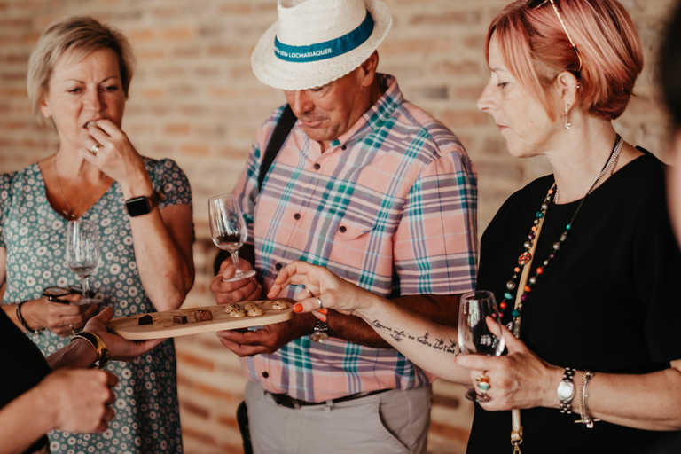 Albi: Tour gastronómico e pelo mercado com degustações e passeio histórico