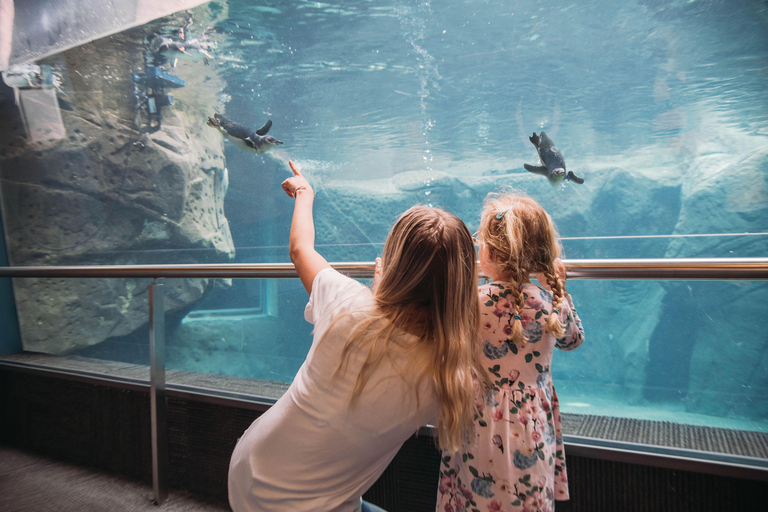 Christchurch International Antarctic Centre Entry Tickets