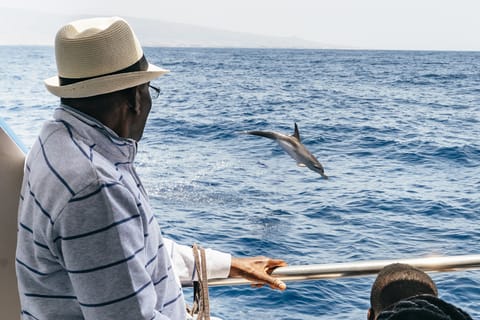 Gran Canaria: crucero de observación de delfines