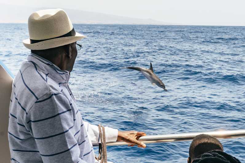 From Puerto Rico de Gran Canaria: Dolphin Watching Cruise