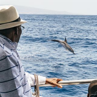 Gran Canaria: Delfinsafari i båd med glasbund