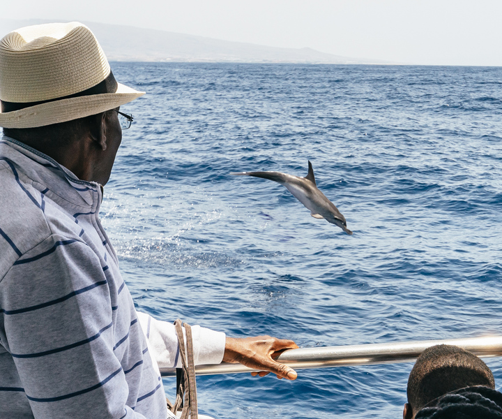 From Puerto Rico de Gran Canaria: Dolphin Watching Cruise