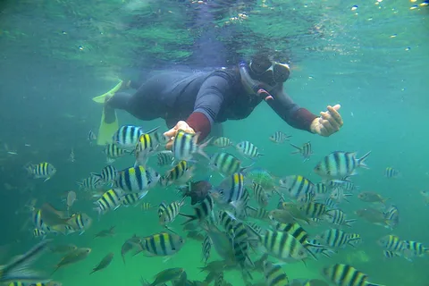 Bintan snorkling