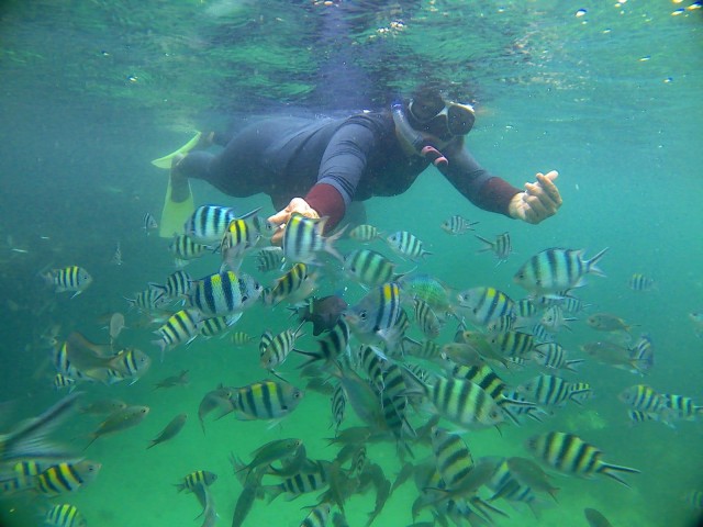 Visit Bintan snorkeling in Bintan, Riau Islands, Indonesia