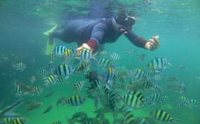 Bintan snorkeling