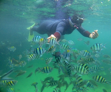 Snorkling på Bintan