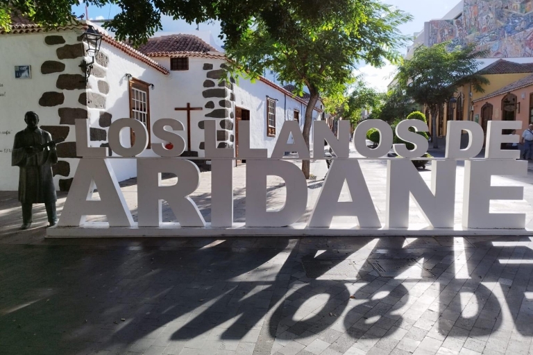 Open Air Art Guide Walking Tour in Los Llanos de Aridane City Museum and Open Art in Los Llanos de Aridane