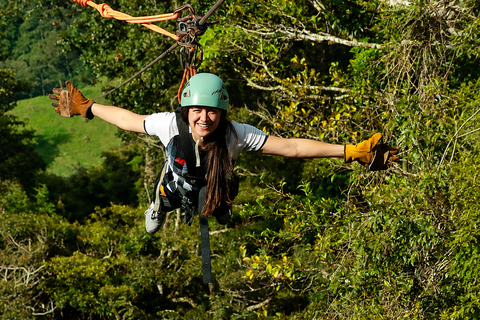 From San José: Monteverde Cloud Forest Day Trip