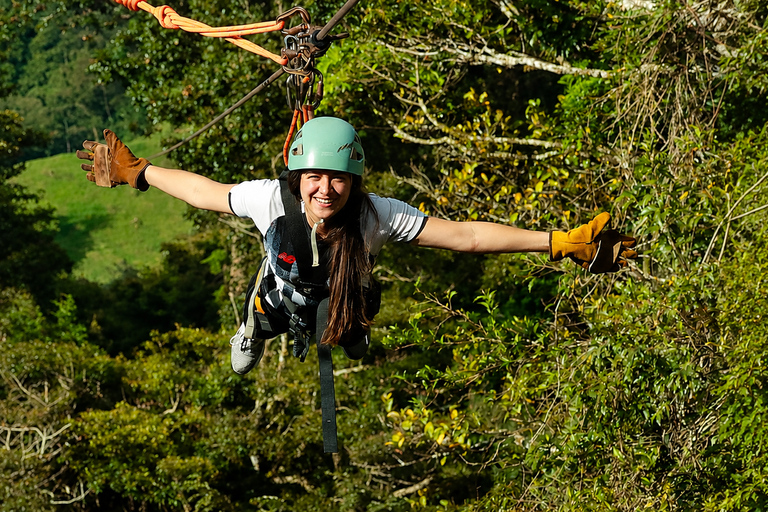 From San José: Monteverde Cloud Forest Day Trip