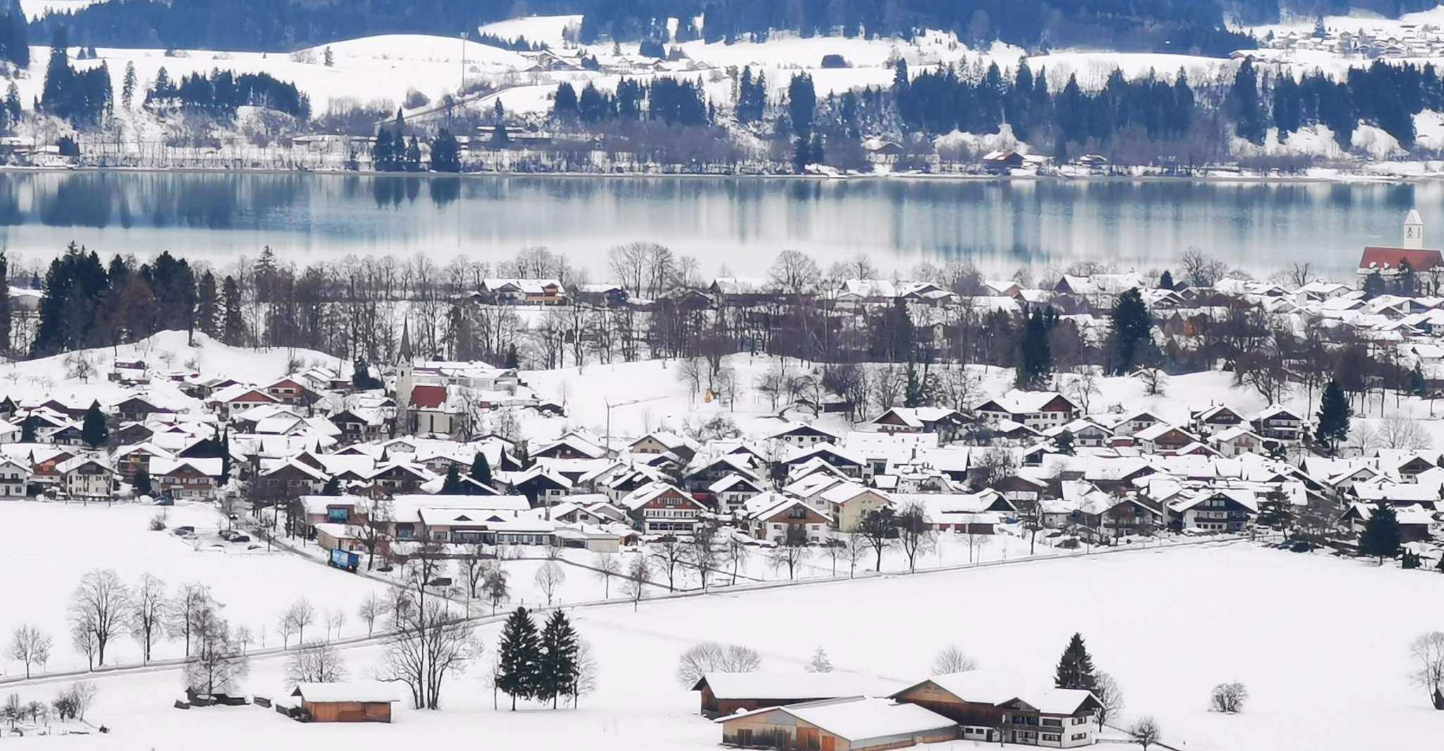 Munich: Neuschwanstein by Bus & Opt. Munich Xmas Market Tour photo 5
