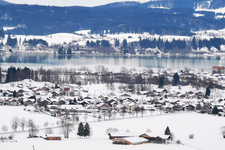 Vanuit München: Neuschwanstein en kerstmarkttour München