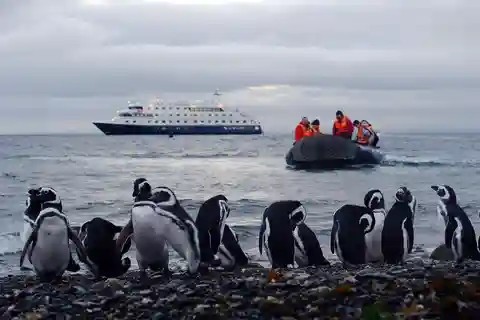 Ushuaia: CABO DE HORNOS CRUCERO 4 NOCHES