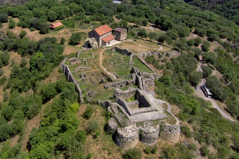 تبليسي: جولة في موقع دمانيسي العائد لعصور ما قبل التاريخ والمدينة القديمة