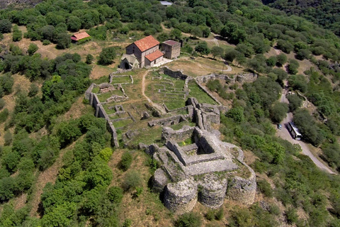 Armenia Day Tour: Dmanisi, Sevan & Yerevan