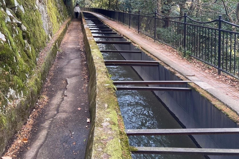 E-Bike Tour in Kyoto with Asuka, Japanese graduate student