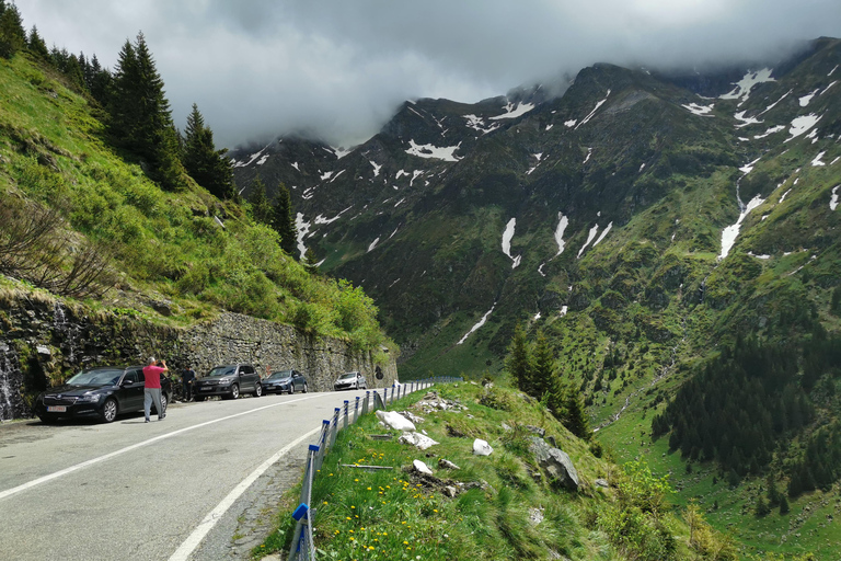 Bucharest: Top Gear Road & Wild Brown Bears, group max 8 pax Bucharest: Transfăgărășan Top Gear Road & Wild Brown Bears