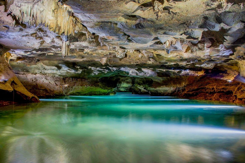 Depuis Valence : Visite guidée des grottes de San José avec transport