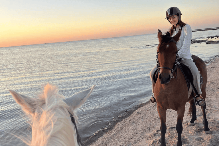 Djerbahood: Scooter Tour with Horseback Ride at Sunset