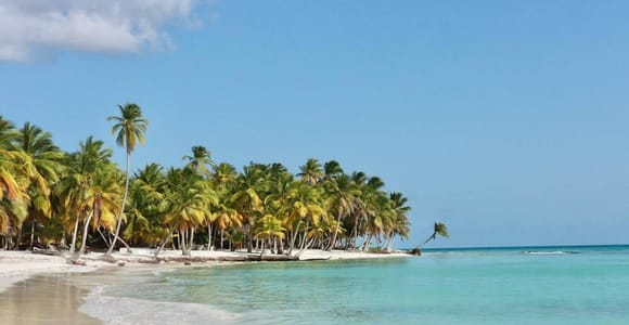 Punta Cana: Saona Island with Hotel Pickup