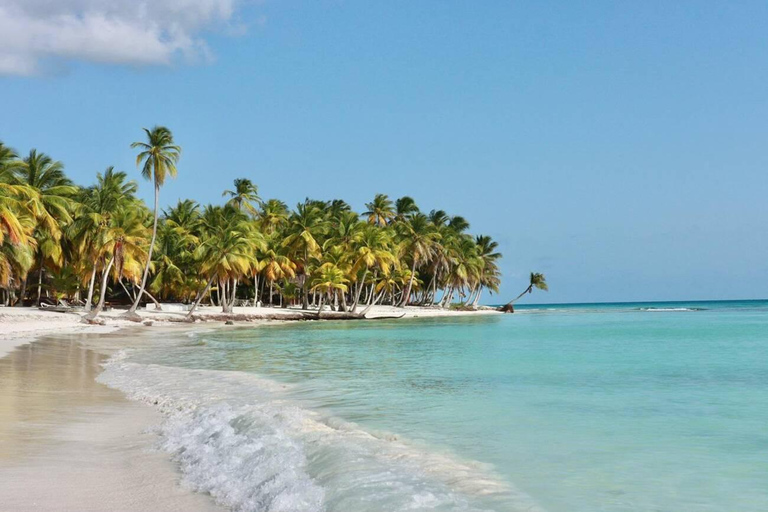 Punta Cana: Saona Island with Hotel Pickup