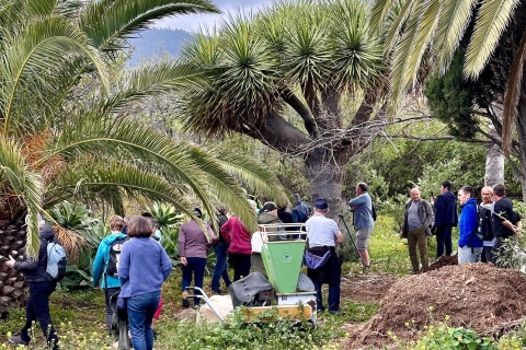 La Palma : Bezoek aan een ecologische boerderij met dieren & proeverij