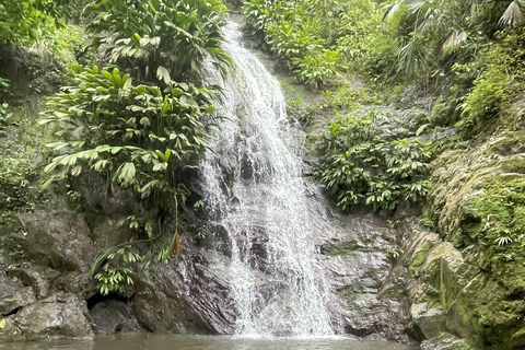 Minca: Coffee Farm and Hidden Waterfall Tour with Lunch