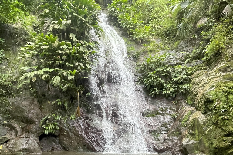 Minca: Coffee Farm and Hidden Waterfall Tour with Lunch