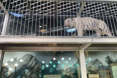 Osaka: NIFREL Interactive Aquazoo Entry Ticket