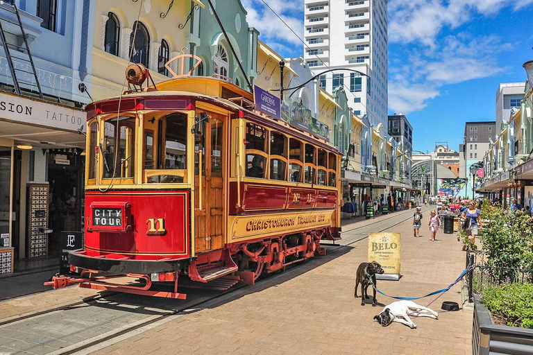 Christchurch: Private City Day Tour