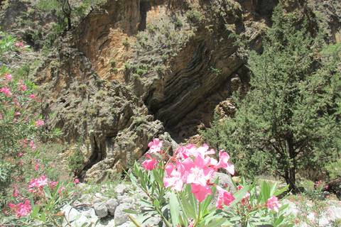 From Rethymno: Samaria Gorge Full-Day Trek with Pickup From Gerani, Petres, Dramia, Kavros, and Georgioupolis