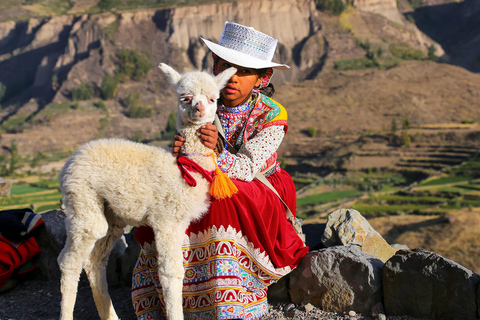 Aanbieding Prijs: Colca Canyon één dag in Arequipa met ontbijt