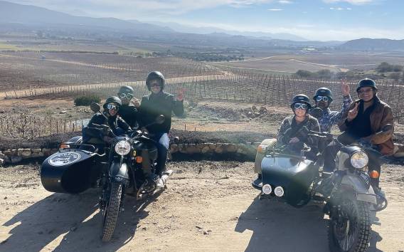 Sonoma: Private Sidecar 3 Winery Tour