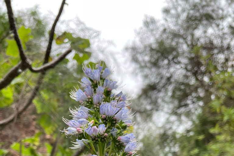 Gran Canaria: excursie naar de Barranco de los CernícalosGran Canaria: trip naar de Barranco de los Cernícalos