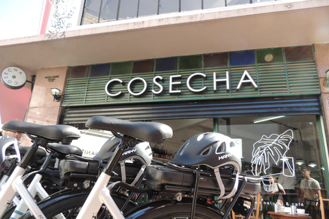 Buenos Aires: E-Bike-tur i södra delen av Buenos Aires