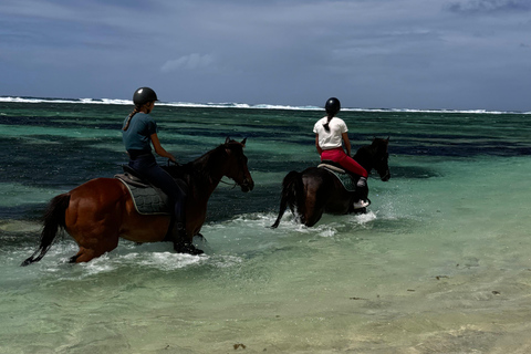 Descubriendo el sur. Paseos a caballo por la playa, excursiones a cascadas.