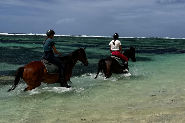 Descubriendo el sur. Paseos a caballo por la playa, excursiones a cascadas.