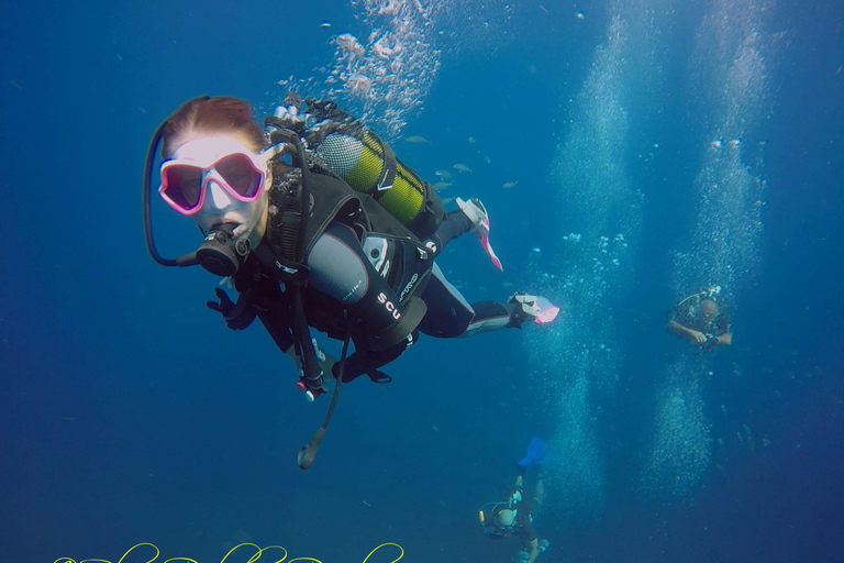 Djerba: Supervised diving trip, for certified divers only. Djerba: Guided diving excursion, for certified divers only.