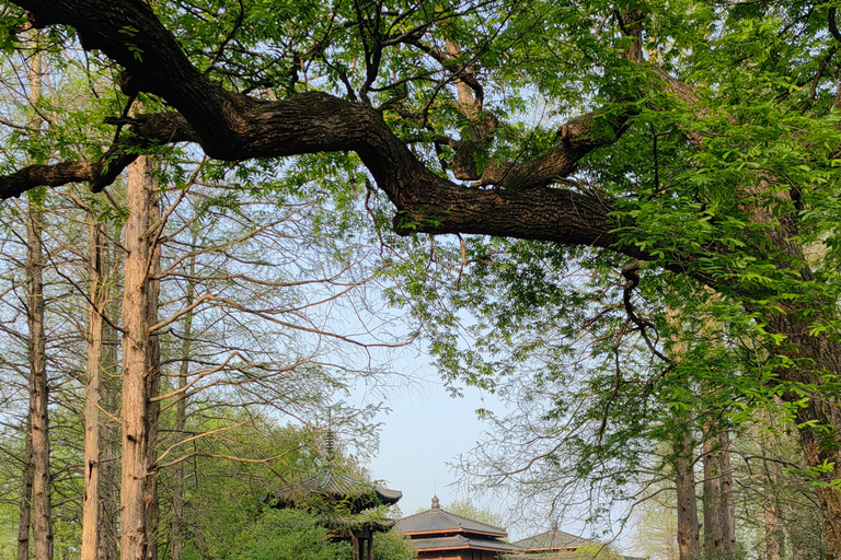 Hangzhou: Customized Tour with Local Guide